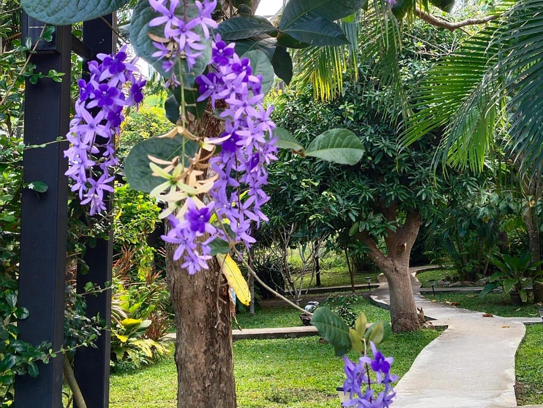 Bang Po Hut Hotel Ban Bang Po Ngoại thất bức ảnh