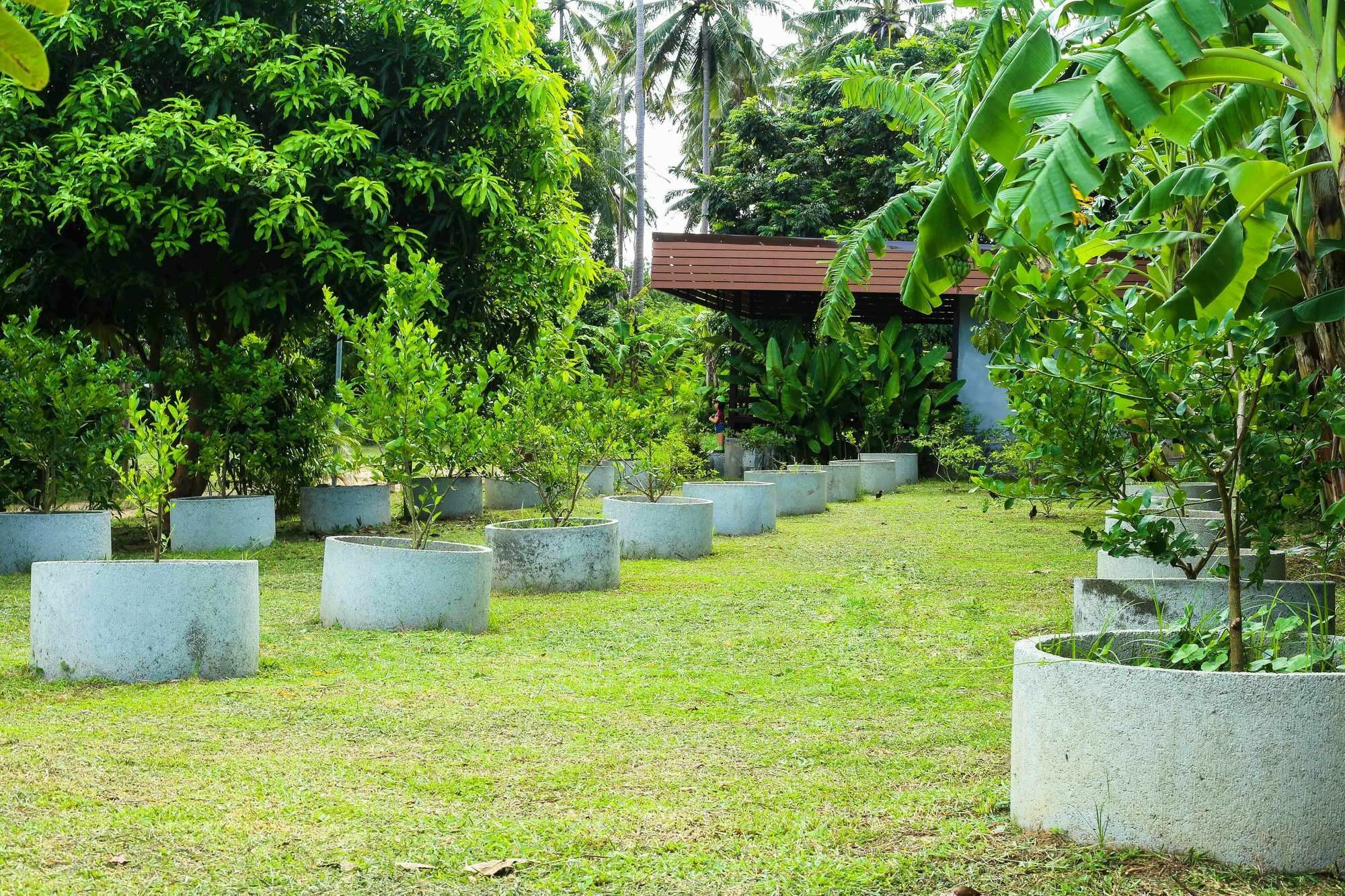 Bang Po Hut Hotel Ban Bang Po Ngoại thất bức ảnh